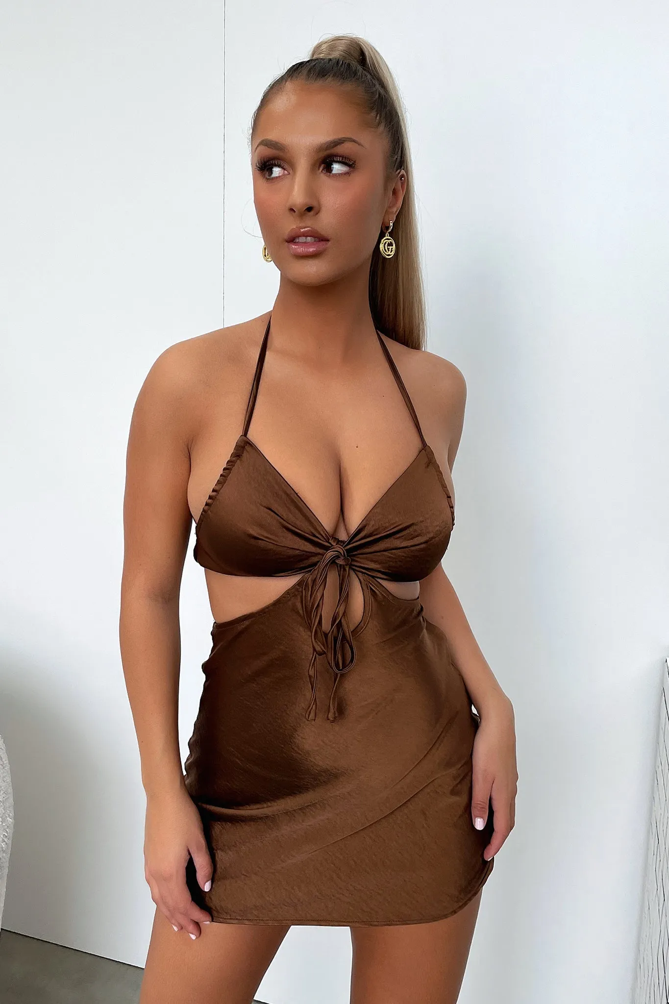 Shimmer Glow Xanthia Dress - Brown